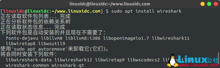 在Ubuntu 18.04 Linux上安裝和使用Wireshark