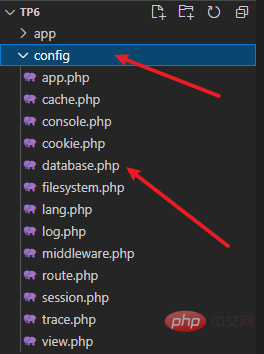 ThinkPHP6中env環境變量的使用