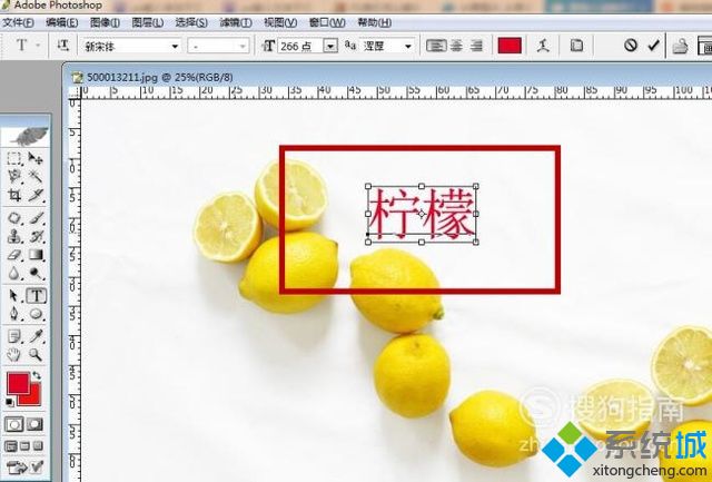 電腦中ps輸入字體不顯示是怎么回事