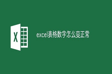 excel表格數字怎么變成正常數字 excel表格數字正常顯示的方法