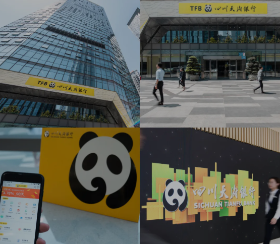 四川天府銀行打造基于多銀行流水?dāng)?shù)據(jù)的現(xiàn)金流盡調(diào)系統(tǒng)