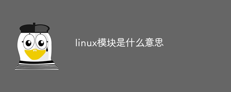 linux模塊是什么意思