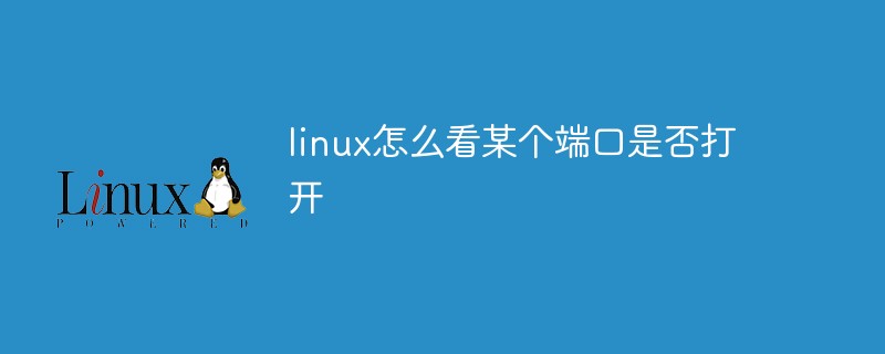 linux怎么看某個端口是否打開-站長資訊網
