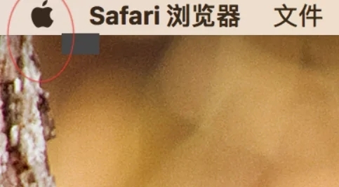 蘋果電腦怎么看內存 如何查看蘋果電腦內存大小