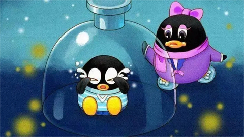 qq群投票在哪里 qq怎么發(fā)起群投票