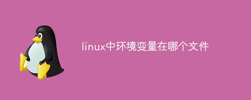 linux中環(huán)境變量在哪個(gè)文件