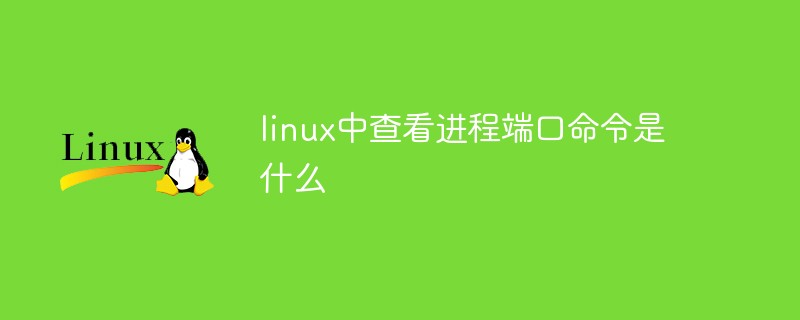 linux中查看進程端口命令是什么