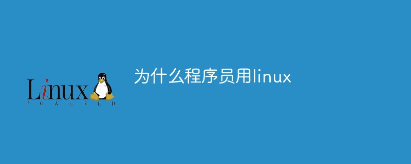 為什么程序員用linux