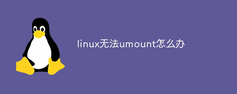 linux無法umount怎么辦