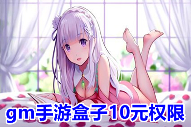 gm手游盒子10元權限 gm手游平臺app哪個好