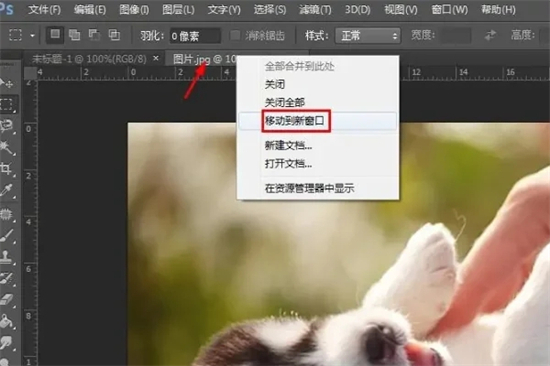 ps怎樣插入圖片 ps如何導(dǎo)入新圖片