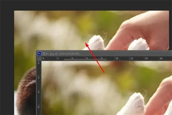 ps怎樣插入圖片 ps如何導(dǎo)入新圖片