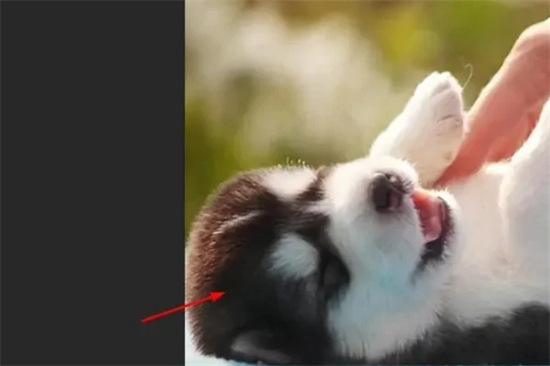 ps怎樣插入圖片 ps如何導(dǎo)入新圖片