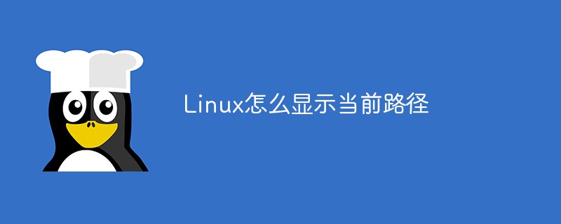 Linux怎么顯示當(dāng)前路徑