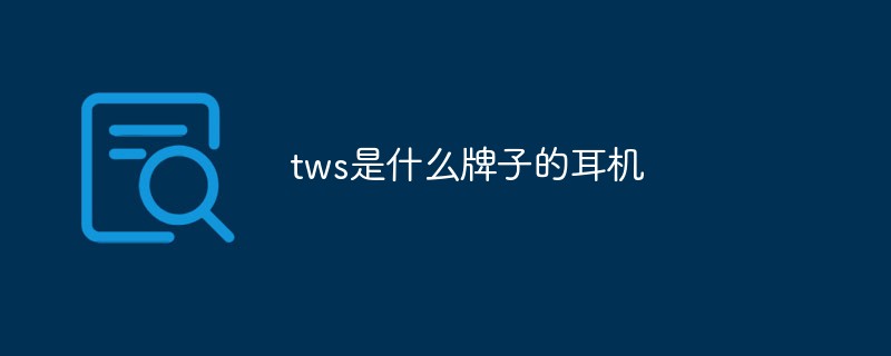 tws是什么牌子的耳機