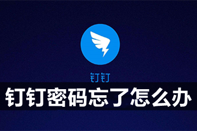 釘釘密碼忘了怎么辦 釘釘密碼忘了怎么重新設(shè)置