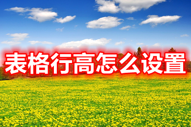 表格行高怎么設置 表格行高怎么調整