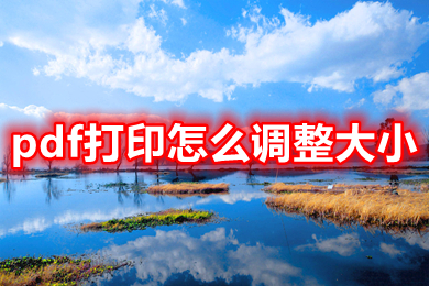 pdf打印怎么調整大小 pdf如何縮小打印比例