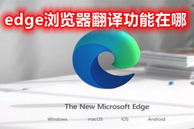 edge瀏覽器翻譯功能在哪 edge瀏覽器自動(dòng)翻譯怎么打開(kāi)