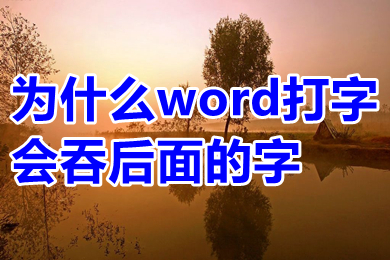 word表格中文字怎么上下居中 word表格中文字居中怎么弄正中間