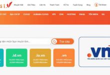 越南原生IP服務(wù)器有哪些優(yōu)勢?越南原生VPS云服務(wù)器推薦-站長資訊網(wǎng)